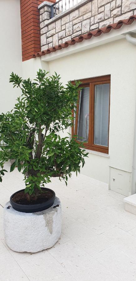 Apartament Haus Silvia Rovinj Zewnętrze zdjęcie
