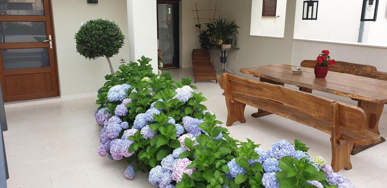 Apartament Haus Silvia Rovinj Zewnętrze zdjęcie